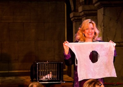 Festival magic show performer